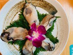 -酒井酱子·深夜食堂(东城汇店)