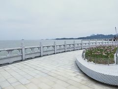 -野狸岛