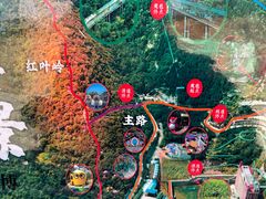 -博山九龙峪风景区