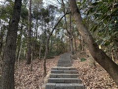 -紫金山山顶公园