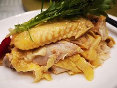 -蝶园·装修中(BFC外滩金融中心店)