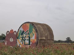 -嘉北郊野公园