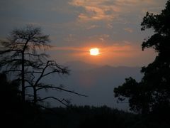 -杨家堂村