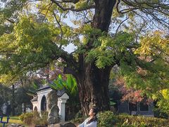 -东湖落雁景区