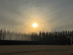 -黄海国家森林公园