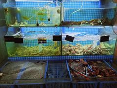 -老东镇啤酒屋海鲜加工·蒸汽海鲜·海鲜烧烤(台东店)