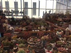 -三圣花乡旅游区