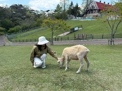 -神户市立六甲山牧场