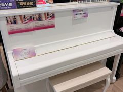 -盛世雅歌琴行·雅马哈钢琴专卖店·电钢琴城·钢琴培训(新辰里学清路店)