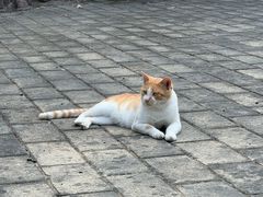 -宜兴龙背山森林公园