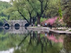 -北陵公园