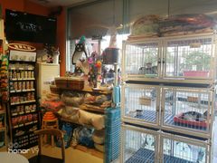 -我爱吾宠宠物美容院(朝阳路店)