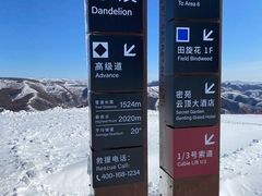 -密苑云顶乐园(云顶滑雪场)