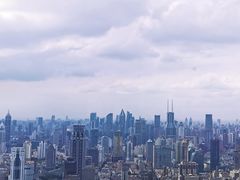 -金轩中餐厅 Jin Xuan(浦东丽思卡尔顿酒店)