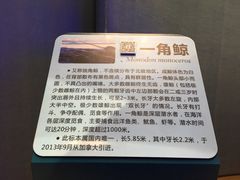 -青岛海底世界-水族馆