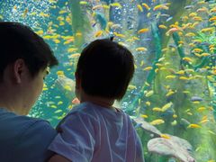 -合肥海洋世界