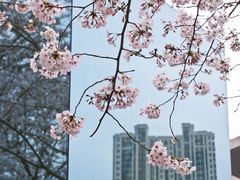 -龙美术馆(西岸馆)