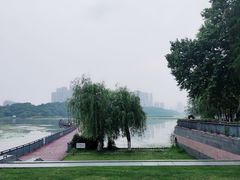 -月湖风景区