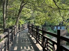 -白马涧龙池景区