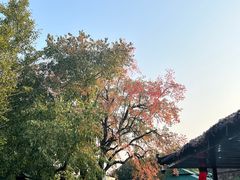 -香山公园