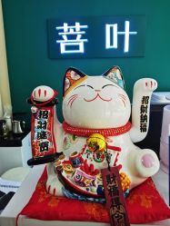 -菩叶脱发白发中心