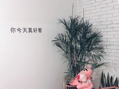 -有猫主题·治愈系猫咖(曾厝垵店)