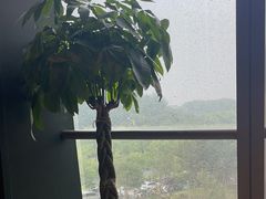 -章记星洲 · 新加坡餐厅(望京店)