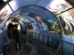 -房山世界地质公园博物馆