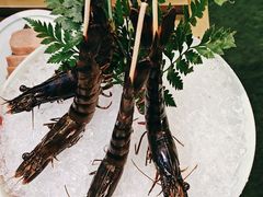 -禄婶鸡煲·打边炉