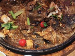 -老板恋上鱼(恒隆广场店)