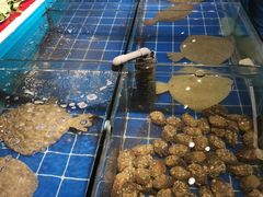 水产区-渔家大院·地道威海菜(石岛店)