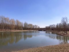 -东郊湿地公园