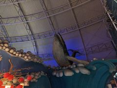 -烟台海昌鲸鲨海洋公园