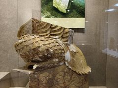 -南越王博物院(王宫展区)