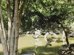 -汇龙潭