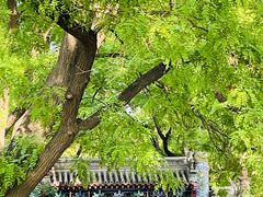 -北京国子监胡同