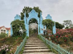 -大塘金香草谷