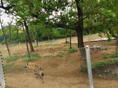 -秦皇岛野生动物园