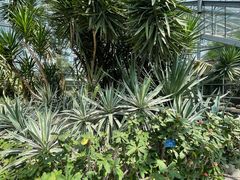 -南山植物园