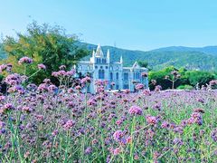-玫瑰海岸文化旅游度假区