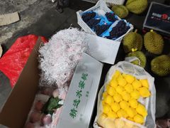 -双福水果批发市场