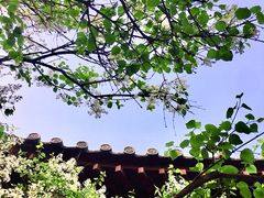 -西安青龙寺遗址景区
