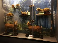 -下渚湖国家湿地公园科普馆