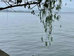 -柳莺湖上·湖景餐厅·江南菜(西湖店)