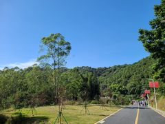 -黄埔油麻山森林公园