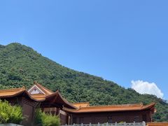 -深圳仙湖植物园