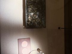 -呼和浩特博物馆