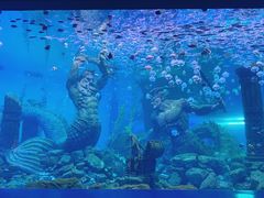 -波塞冬海底世界