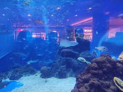 -成都浩海立方海洋公园