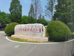 -微山湖红荷湿地景区